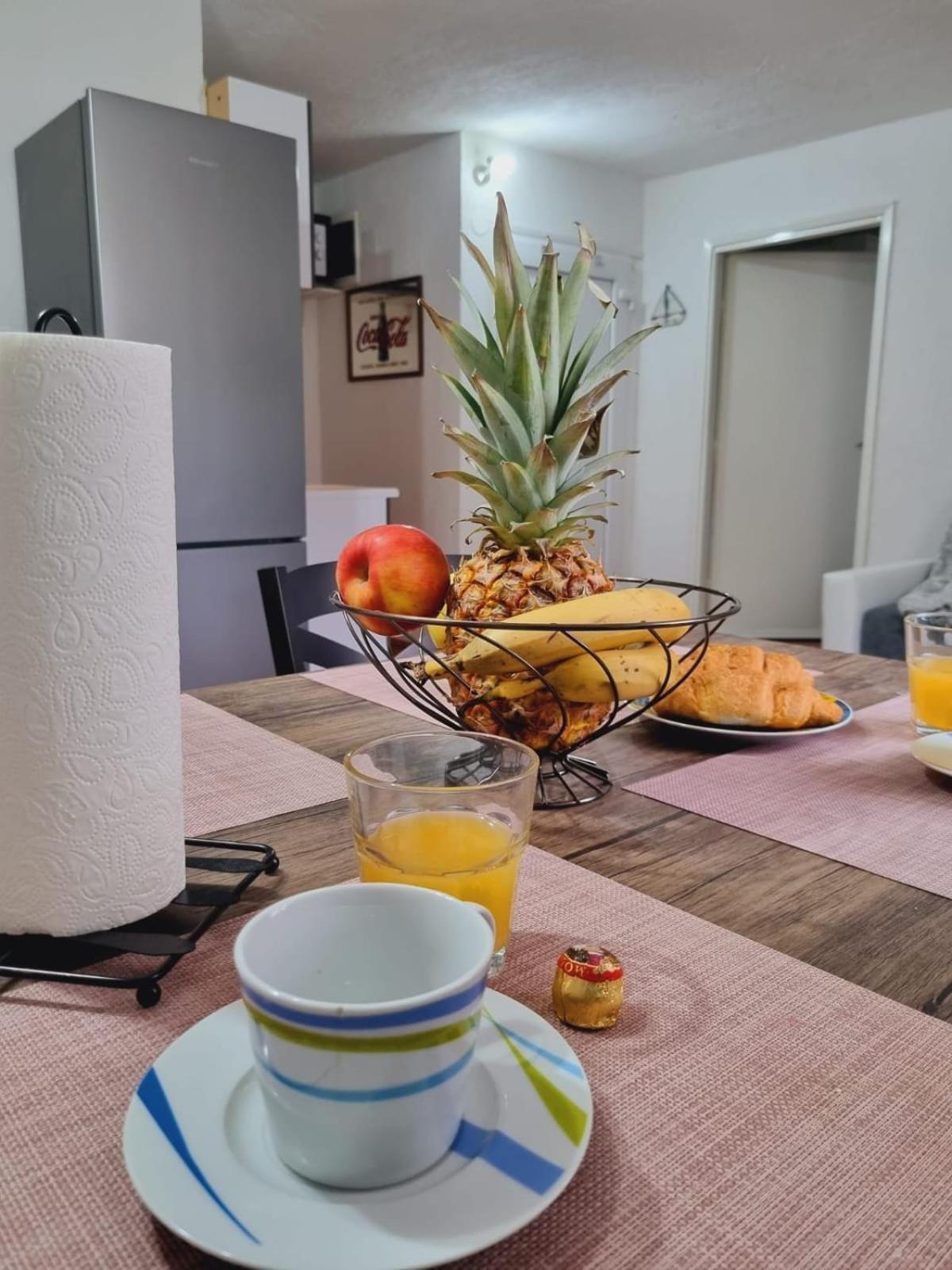 Apartmani 'Cvit' カルロバッグ エクステリア 写真